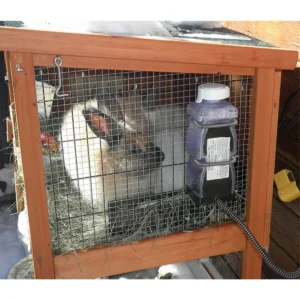 Heated Water Bottle - Small Animals