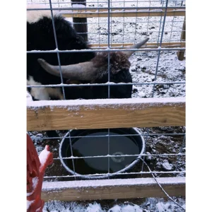 Submergible Utility De-Icer