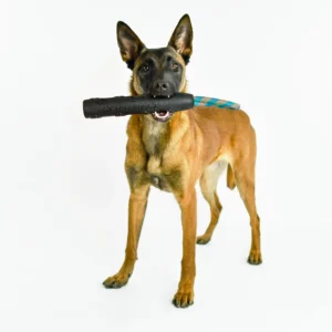 TireBiterII Retriever w/ Loop Roop Handle