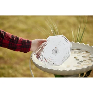Economical Bird Bath De-Icer
