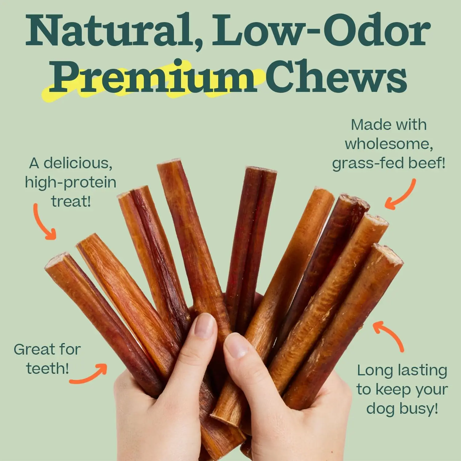 BullySafe Collagen Chew - 10/pack