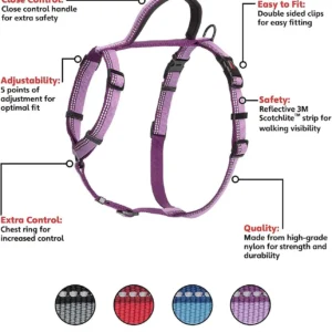 HALTI Walking Harness (chest 16" - 24") - Purple