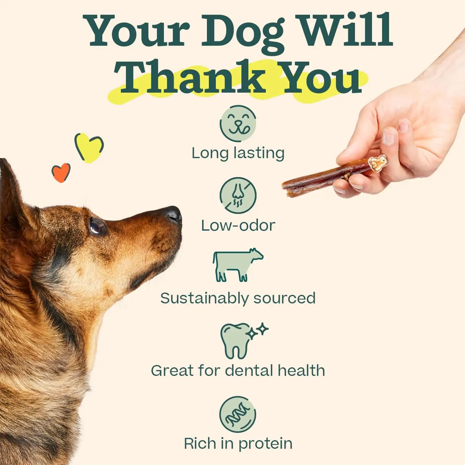 BullySafe Collagen Chew - 10/pack