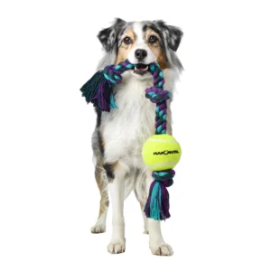 Flossy Chew 3 Knot Tug w/ 4" Tennis Ball - Large