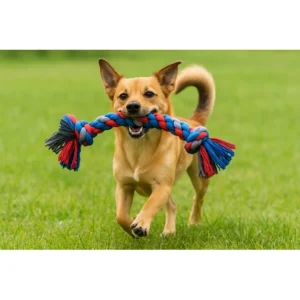 Flossy Chew Rope Bone - Medium