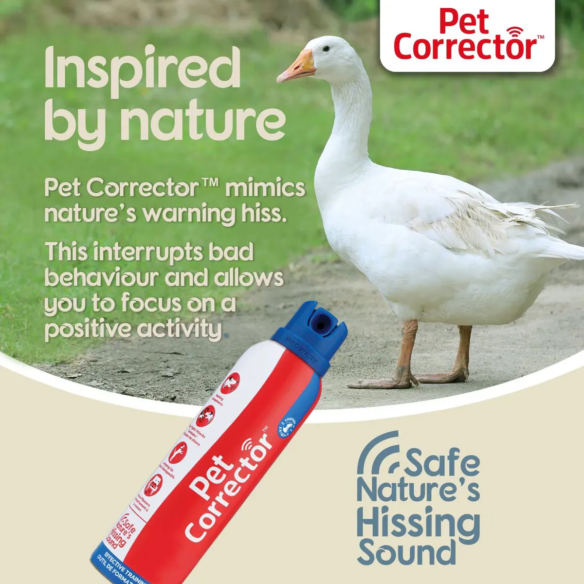 Pet Corrector