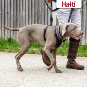 HALTI No Pull Harness - Black/Red
