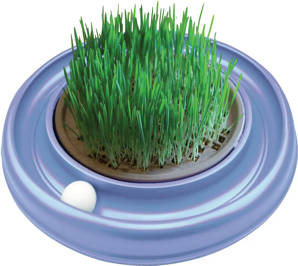 Turbo Scratcher Cat Grass
