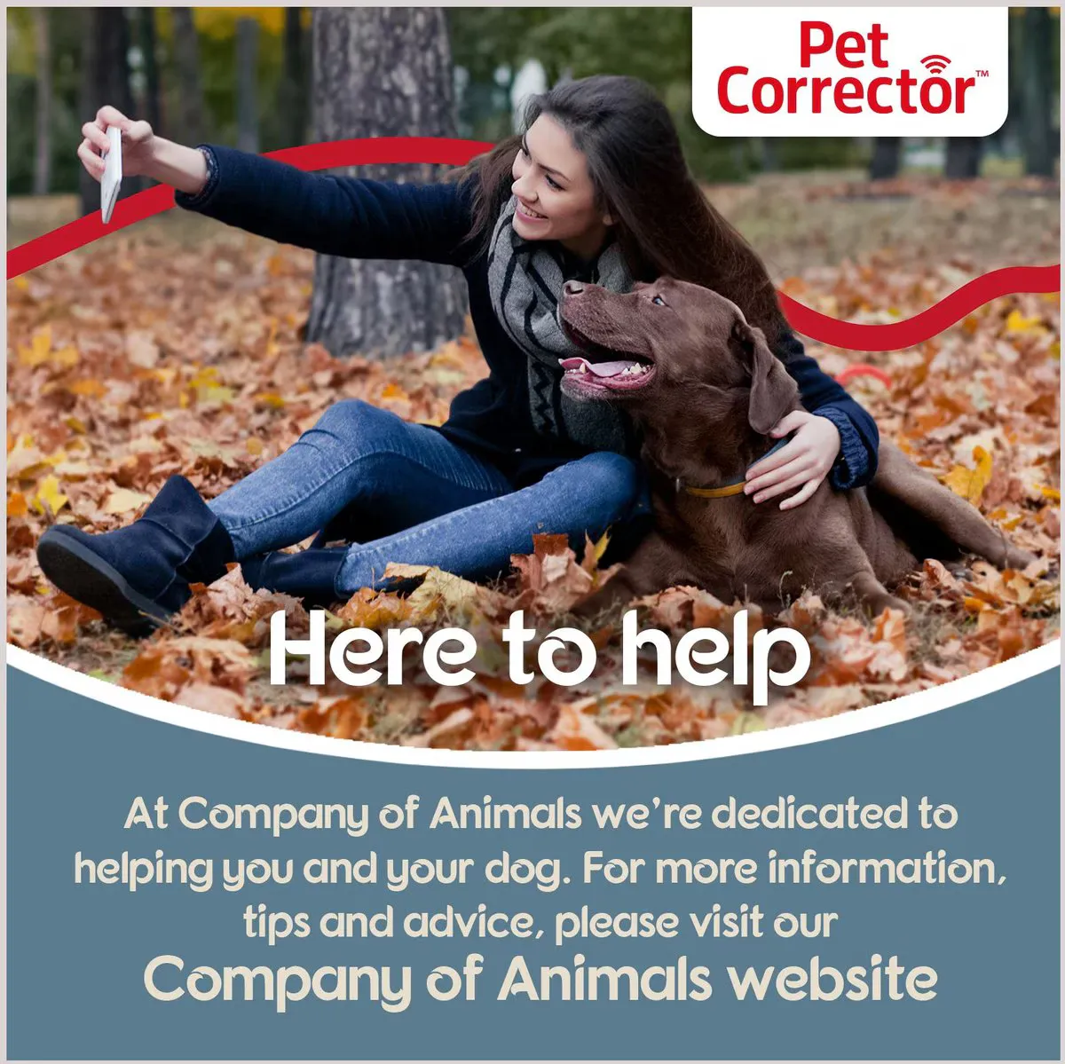 Pet Corrector