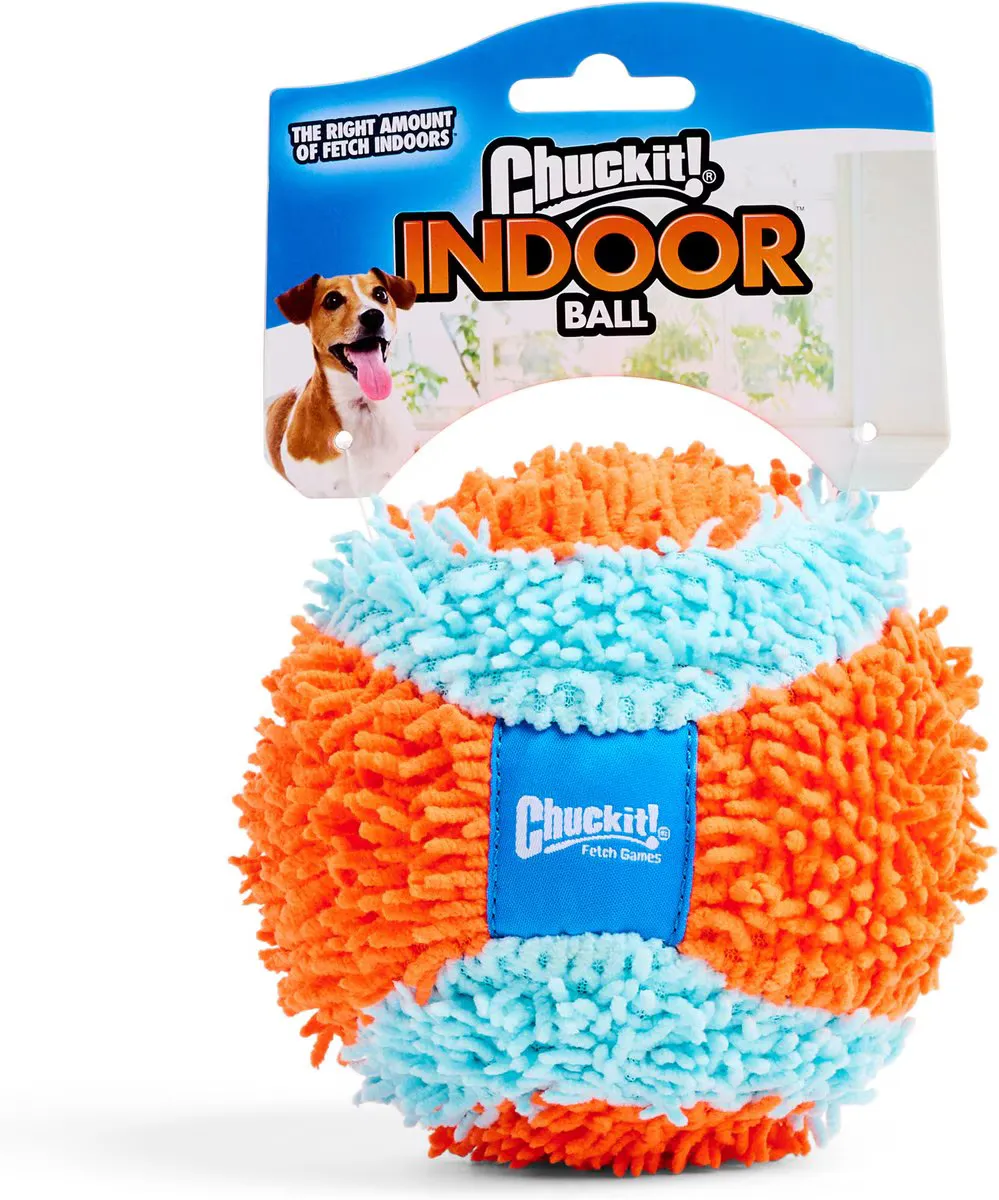 Indoor Ball