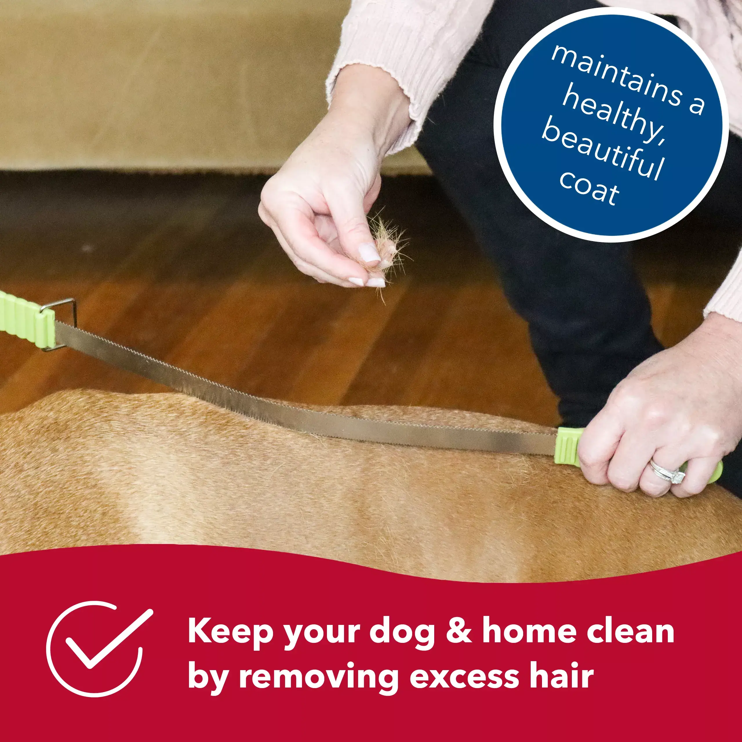 Dual-Sided Stainless Steel Shedding Blade for Dogs