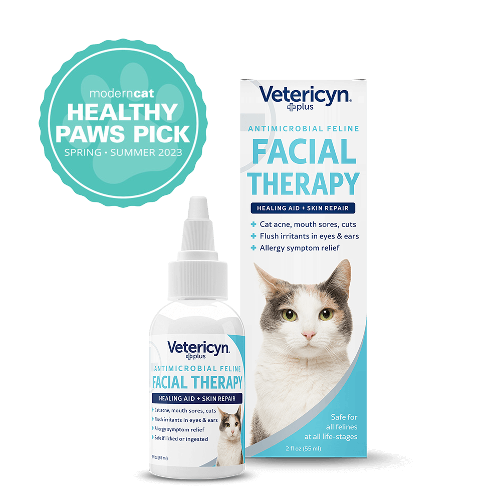 Feline Antimicrobial Facial Therapy