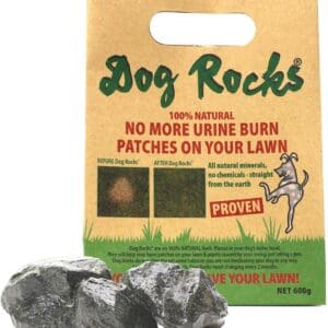 Dog Rocks