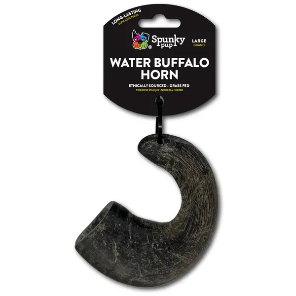 Water Buffalo Horn