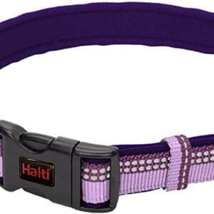 HALTI Collar (10" - 14") - Purple