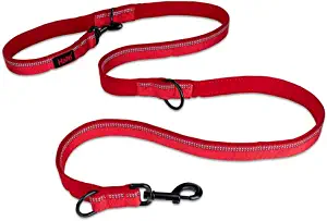 HALTI Training Lead - Red