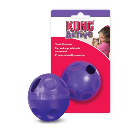 Treat Dispensing Ball