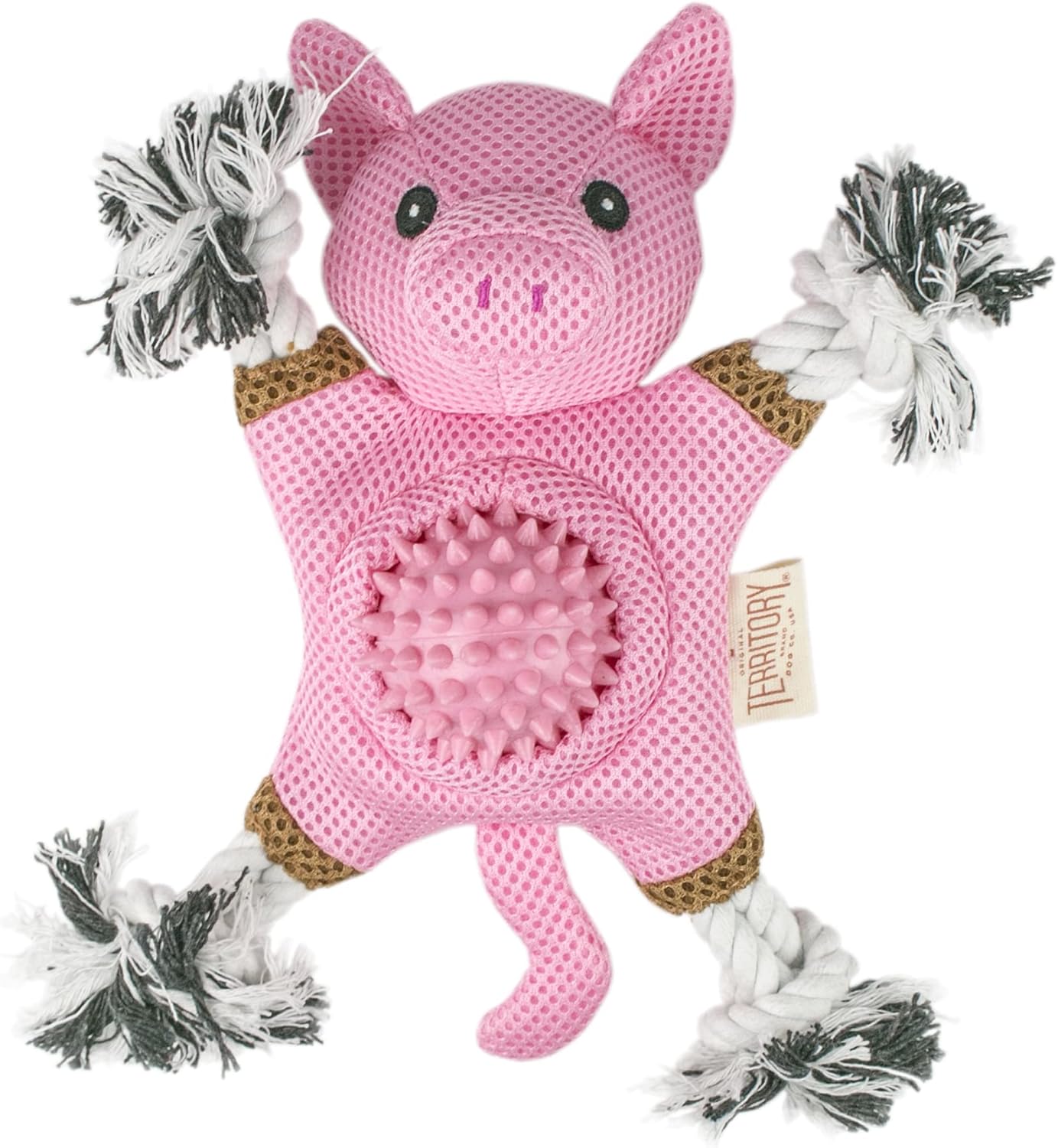 Farm Friends 2-in-1 Pig Toy