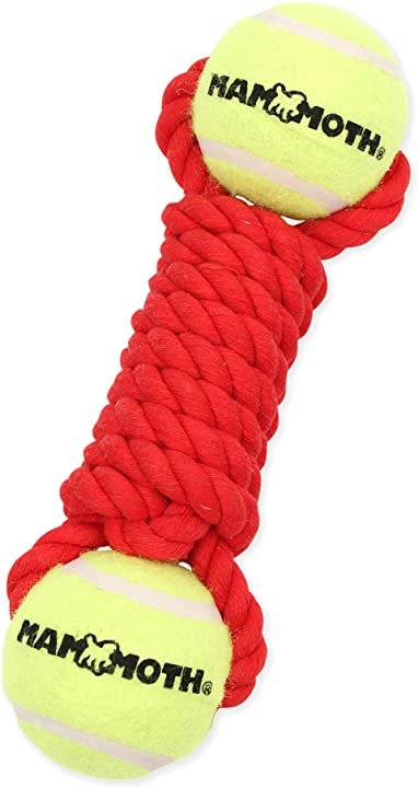 Flossy Chew Braided Bone w/ 2 Tennis Balls - Medium