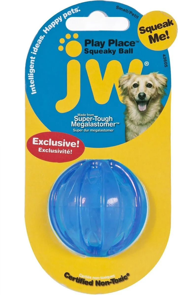 Squeaky Ball