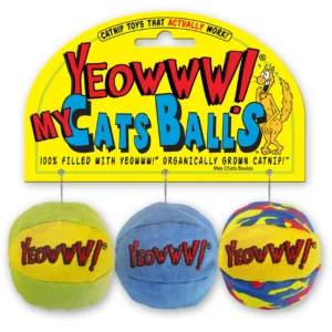 My Cats Balls