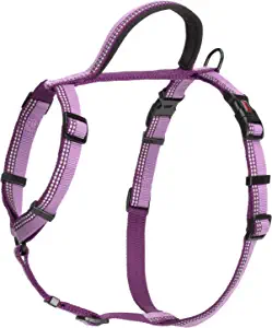 HALTI Walking Harness (chest 22" - 30") - Purple