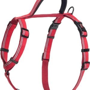 HALTI Walking Harness (chest 14" - 18") - Red