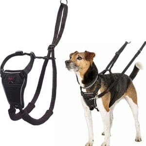 HALTI No Pull Harness - Black/Red