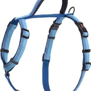 HALTI Walking Harness (chest 22" - 30") - Blue