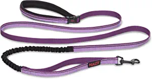 HALTI All-In-One Lead (6' 6") - Purple