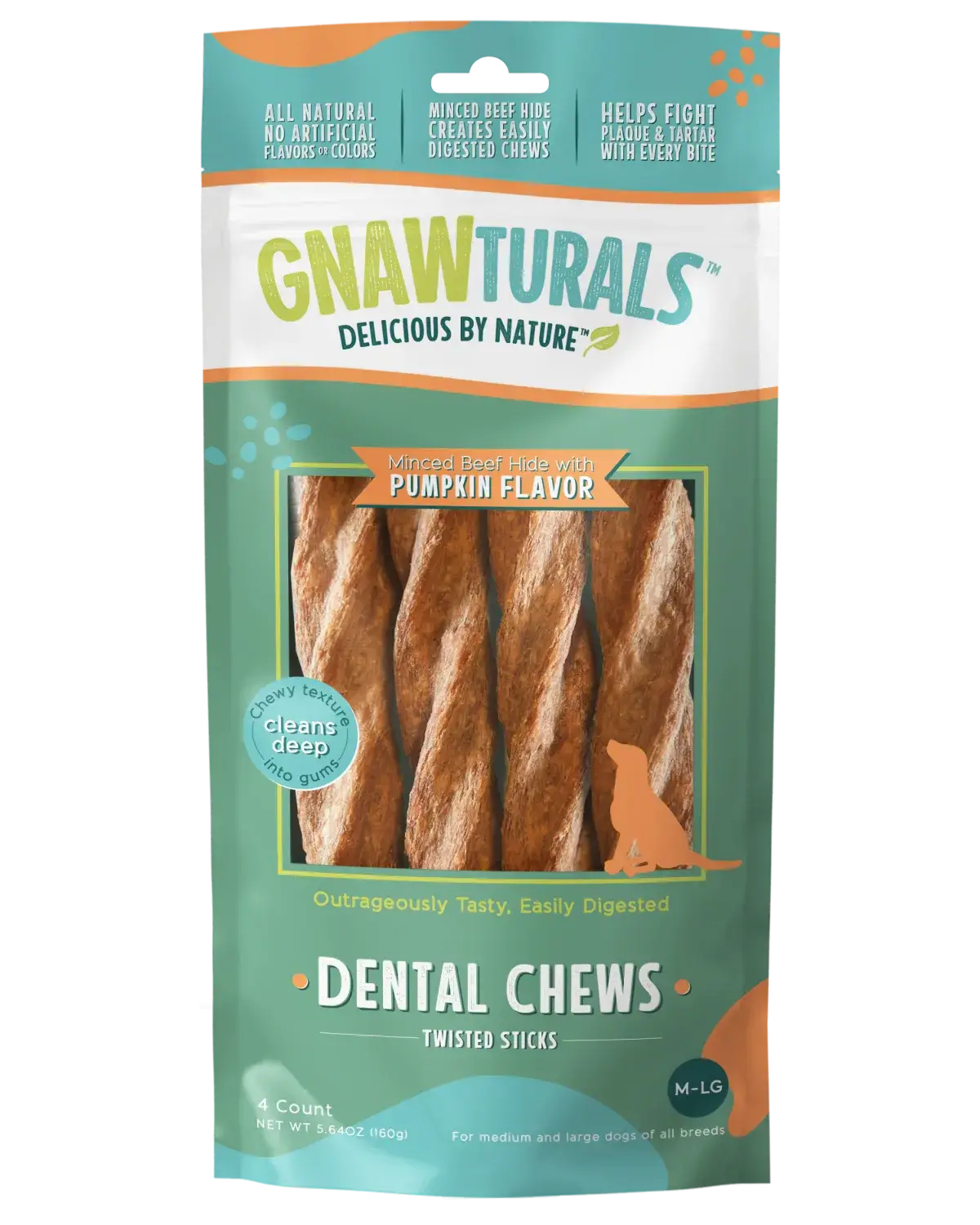 8" Large Twisted Stick Dental Chew - Pumpkin