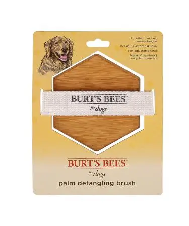 Palm Detangling Brush