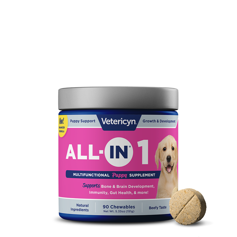ALL-IN Puppy Supplement