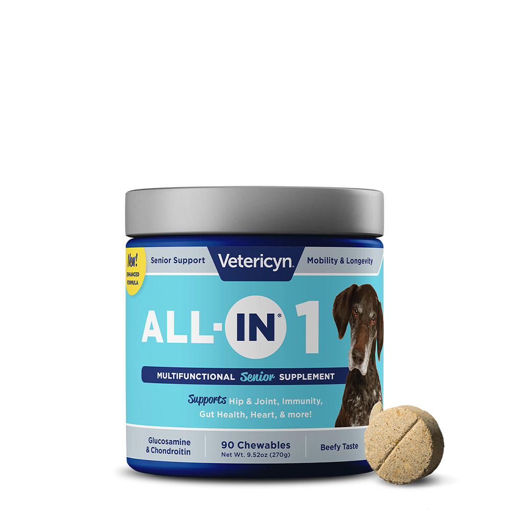 ALL-IN Senior Supplement