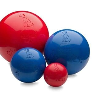 Boomer Ball - Small