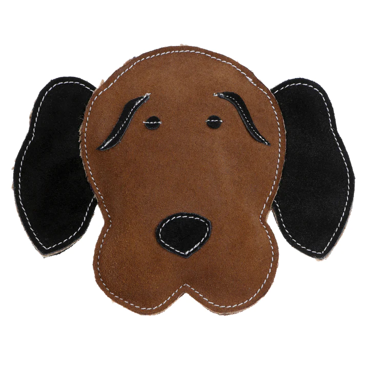 Brown Hound Dog