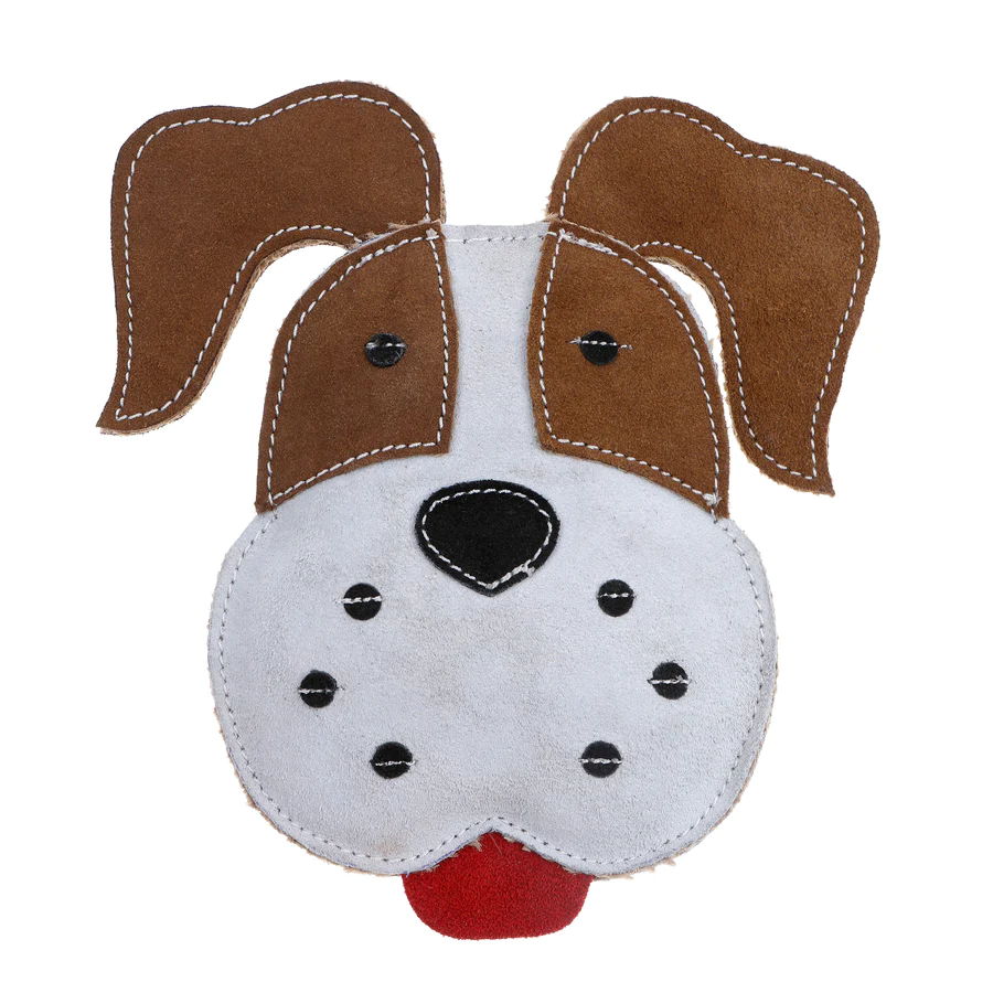 Beagle Brown/White Dog
