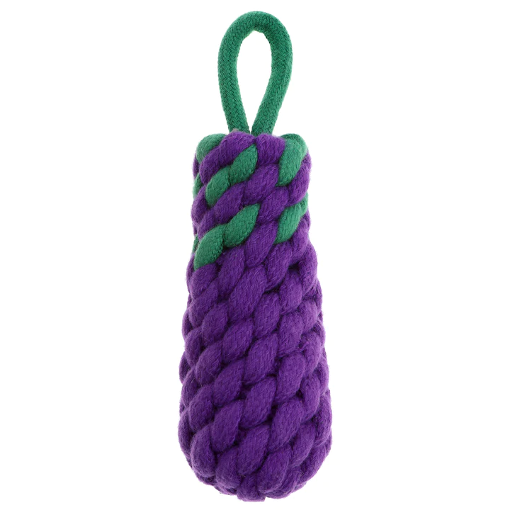 The Veggie Patch - Eggplant Rope Toy
