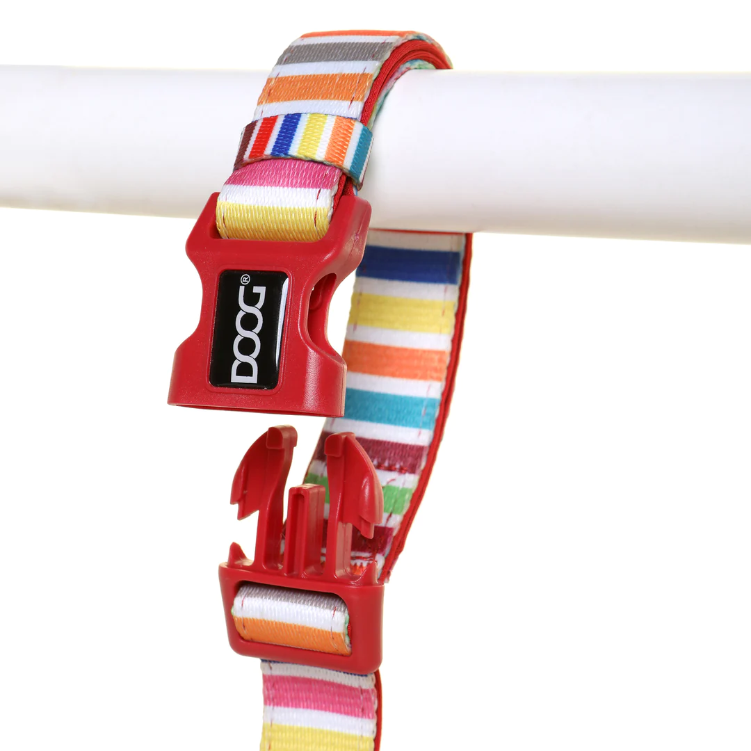 Lead - Clip It - Scooby - Multi-Color Stripped