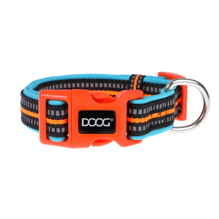 Collar - Beethoven - Neon Blue & Orange