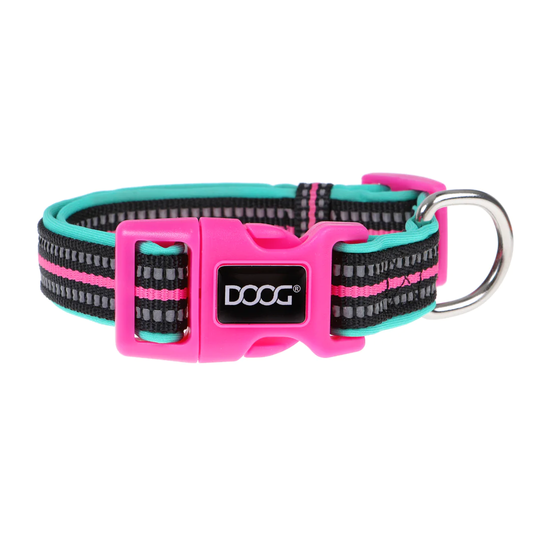 Collar - Rin Tin Tin - Neon Teal & Pink