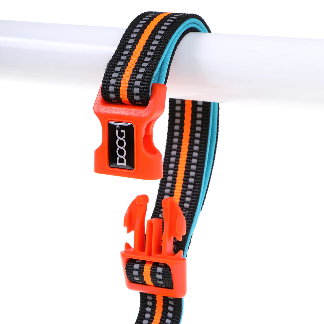 Lead - Clip It - Beethoven - Neon Blue & Orange