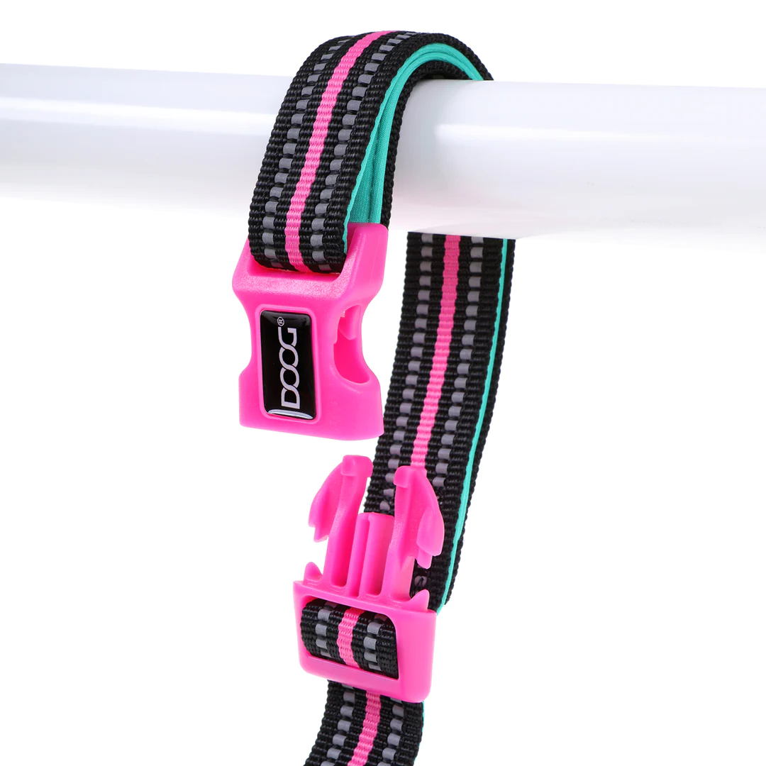 Lead - Clip It - Rin Tin Tin - Neon Teal & Pink