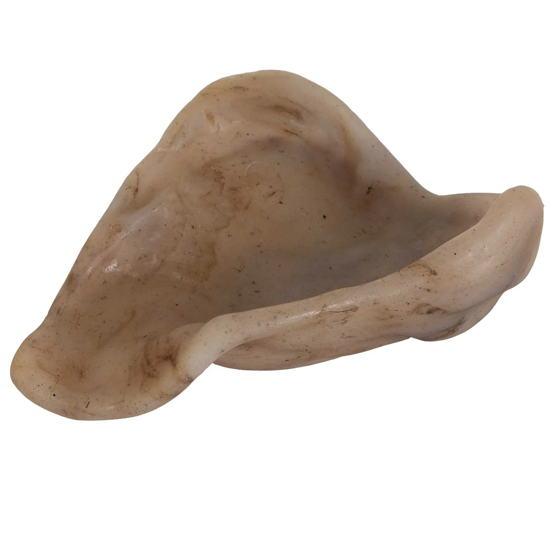 Bacon Pig Ear