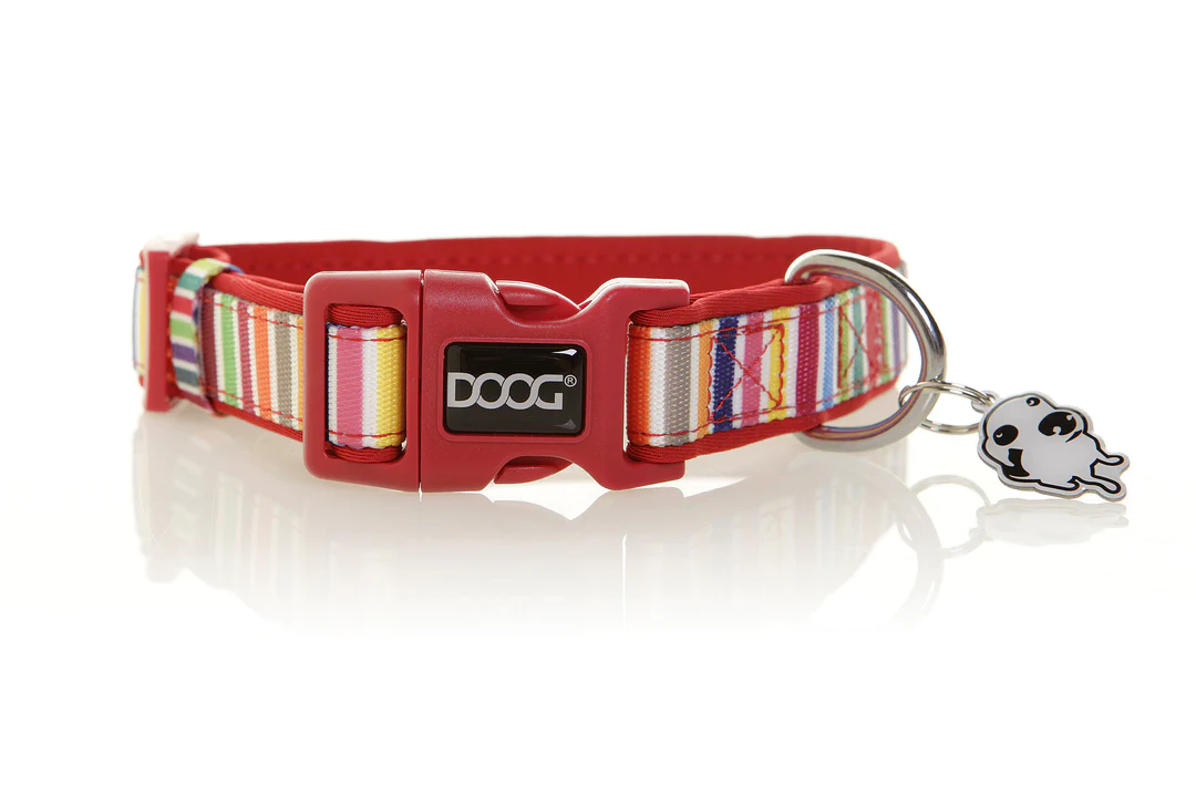 Collar - Scooby - Multi-Color Stripped