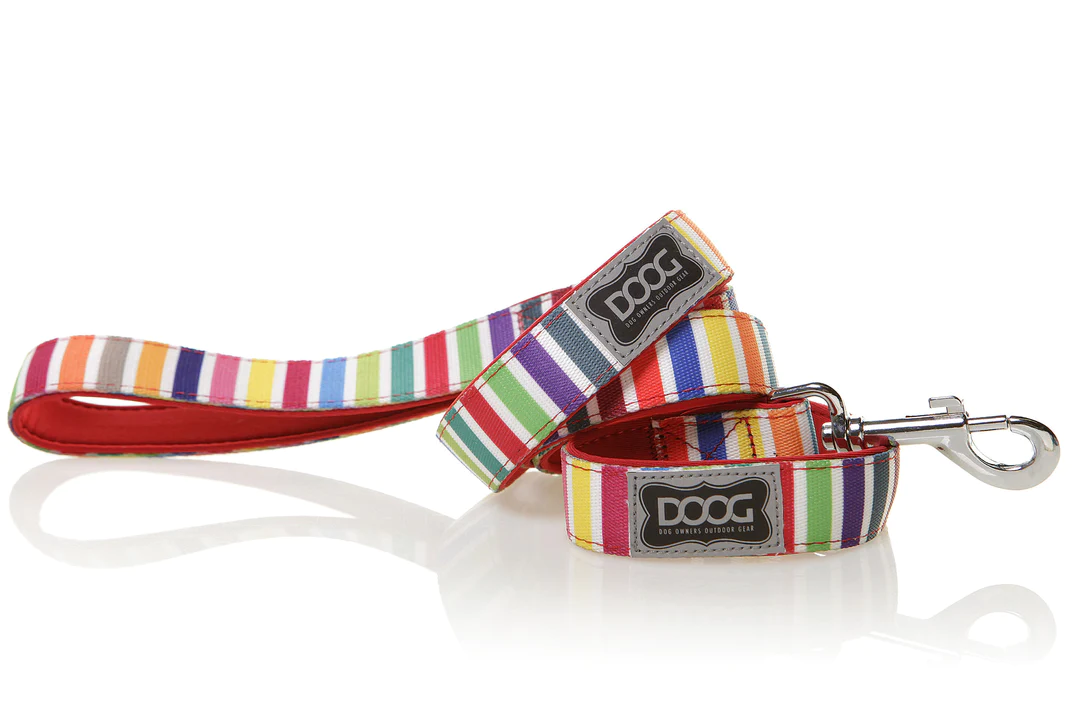 Lead - Scooby - Multi-Color Stripped