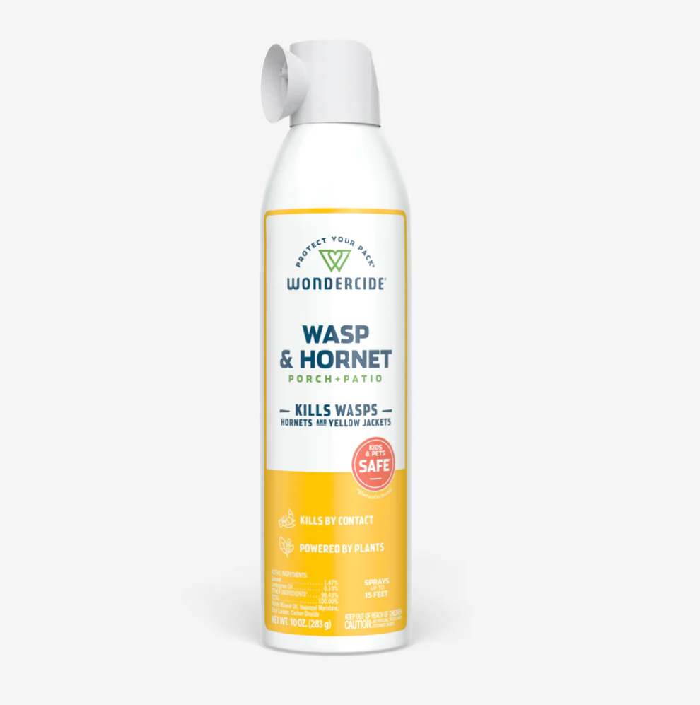 Wasp & Hornet Patio + Porch