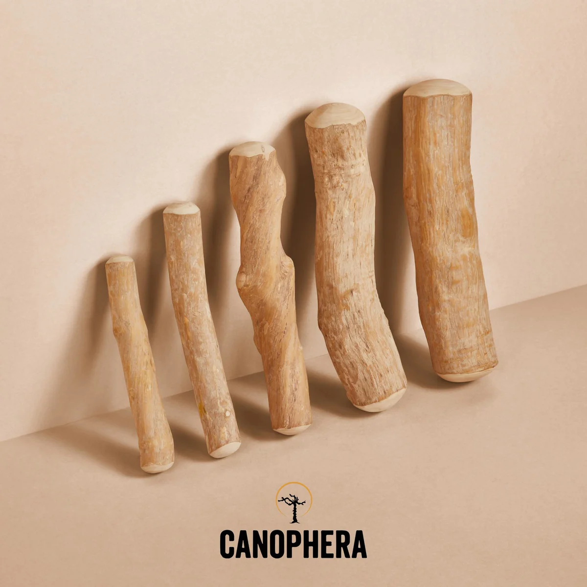 CAN CHEW STICK-COFFEE TREEWOOD