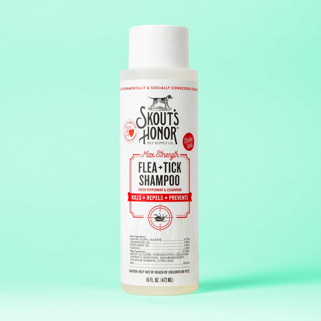 Flea & Tick Shampoo