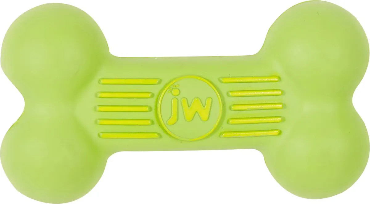I-Squeak Bone Toy